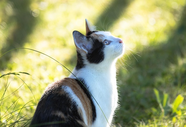 Matt Antoine tweet media