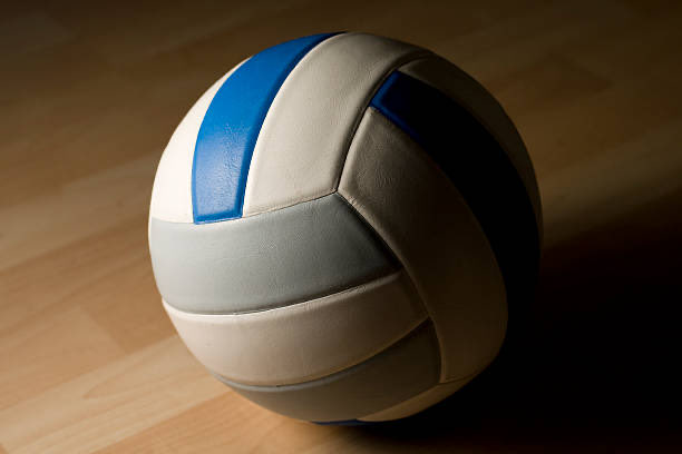 IndianaPrepVolleyball.com tweet media