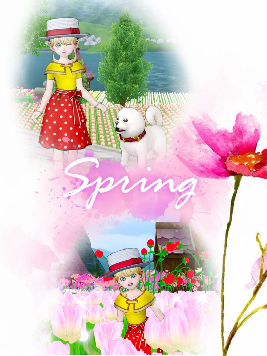 マーメイ tweet media