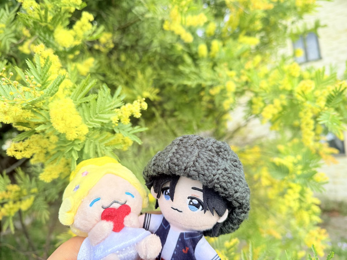 shy:)★GttT tweet media