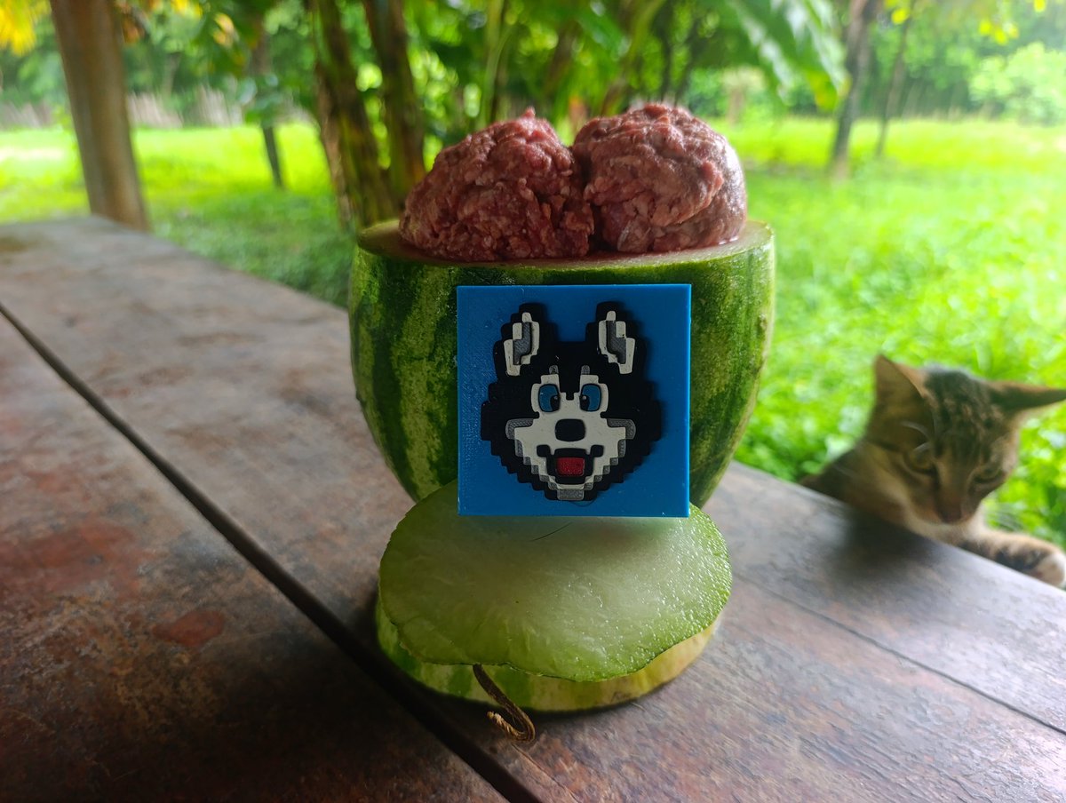 cerF 🎾 El Gringo tweet media