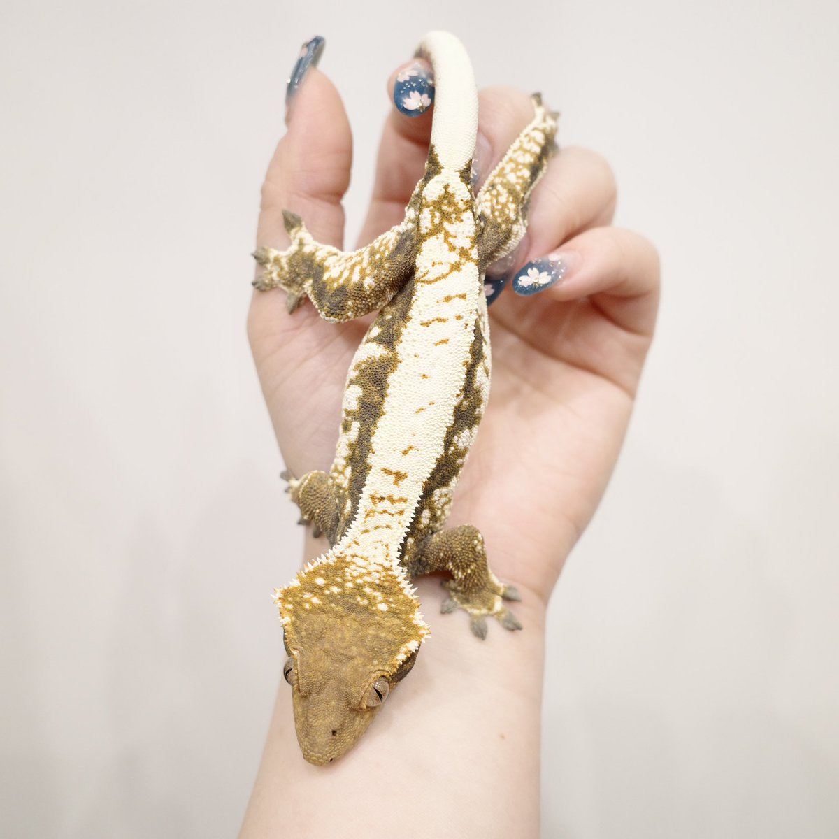 Mir J♥️ tweet media