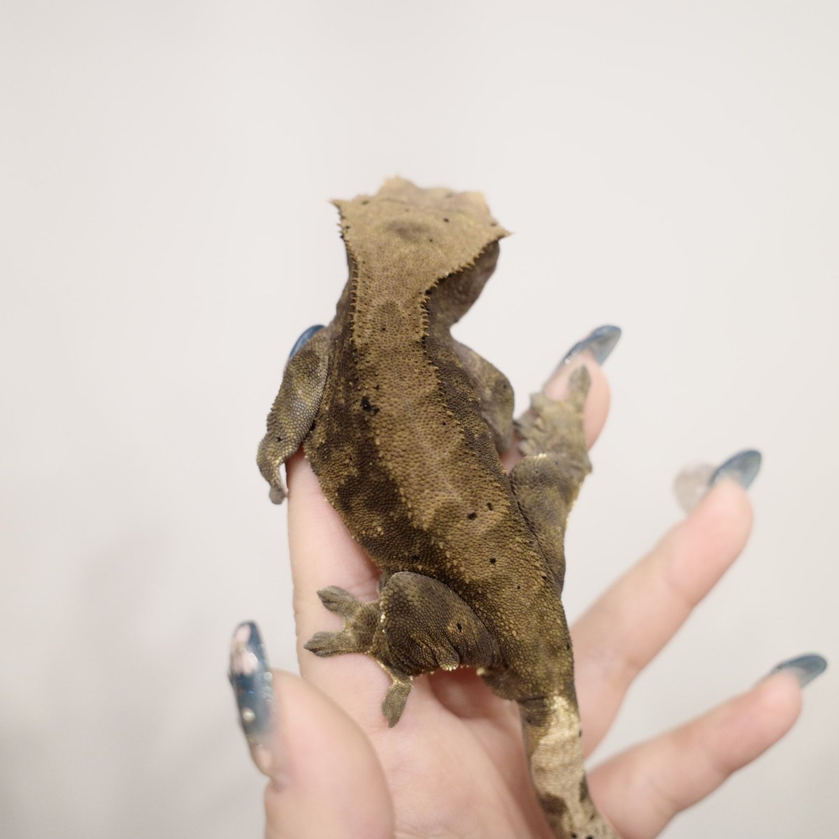 Mir J♥️ tweet media