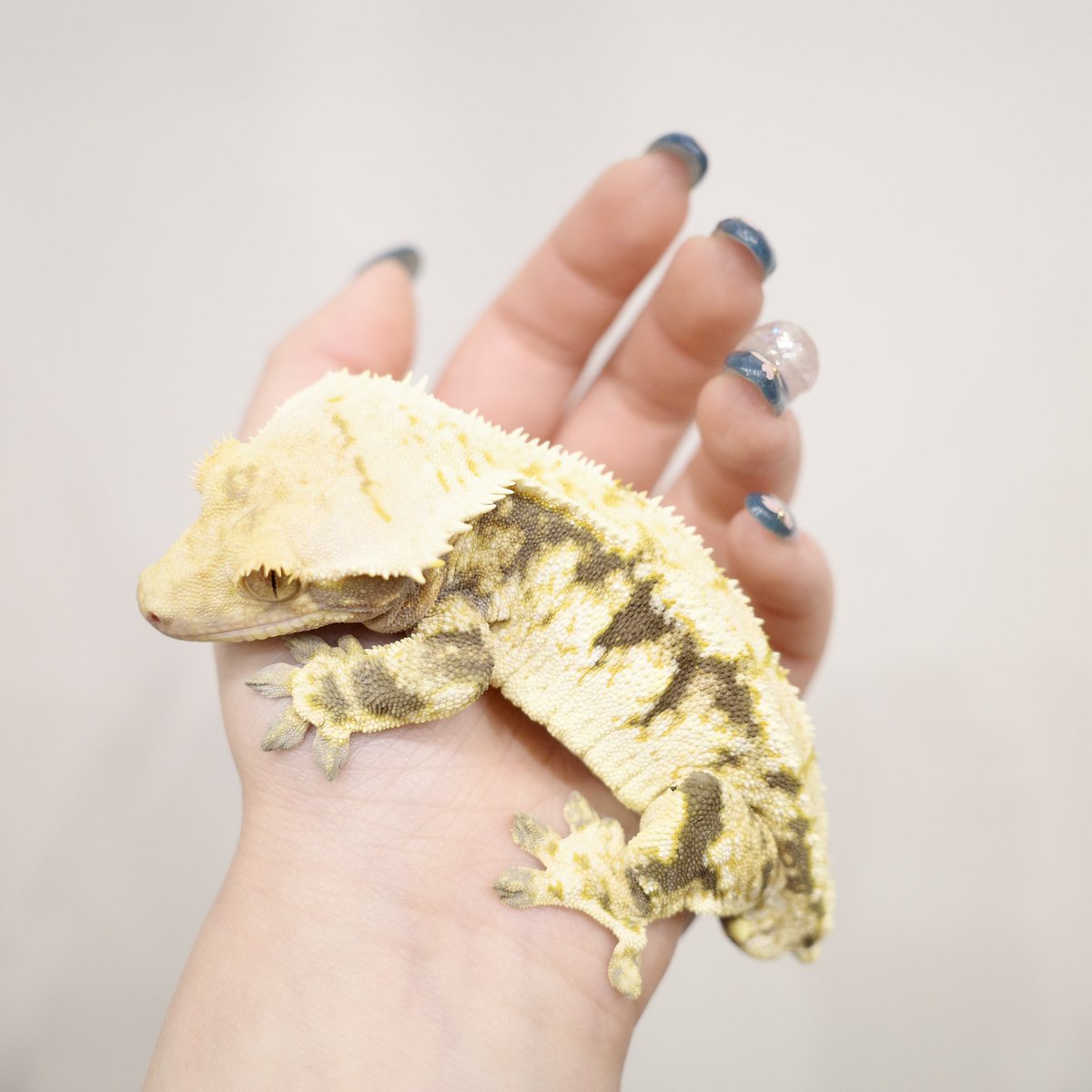 Mir J♥️ tweet media