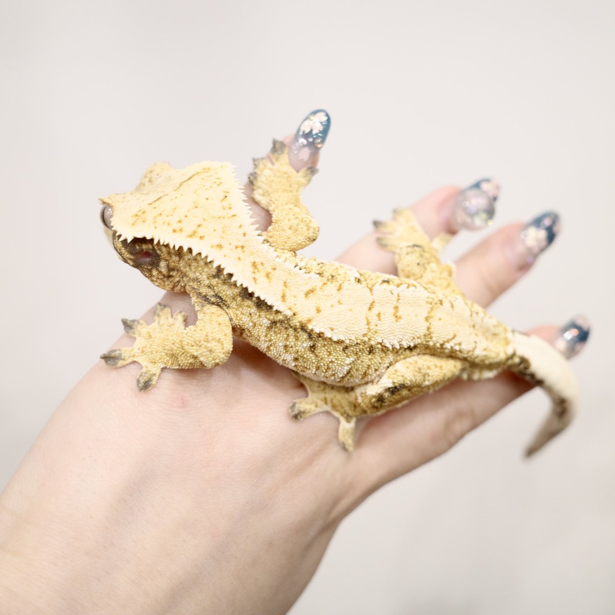 Mir J♥️ tweet media