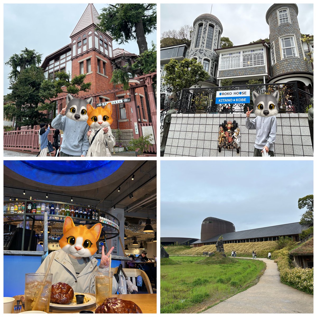 平日大工 tweet media