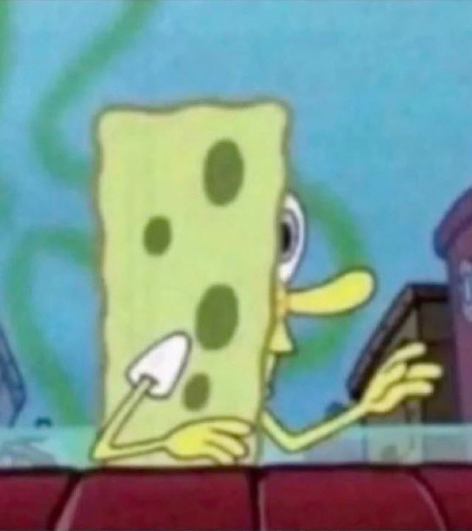 isa fern ★彡 ANO SABÁTICO tweet media