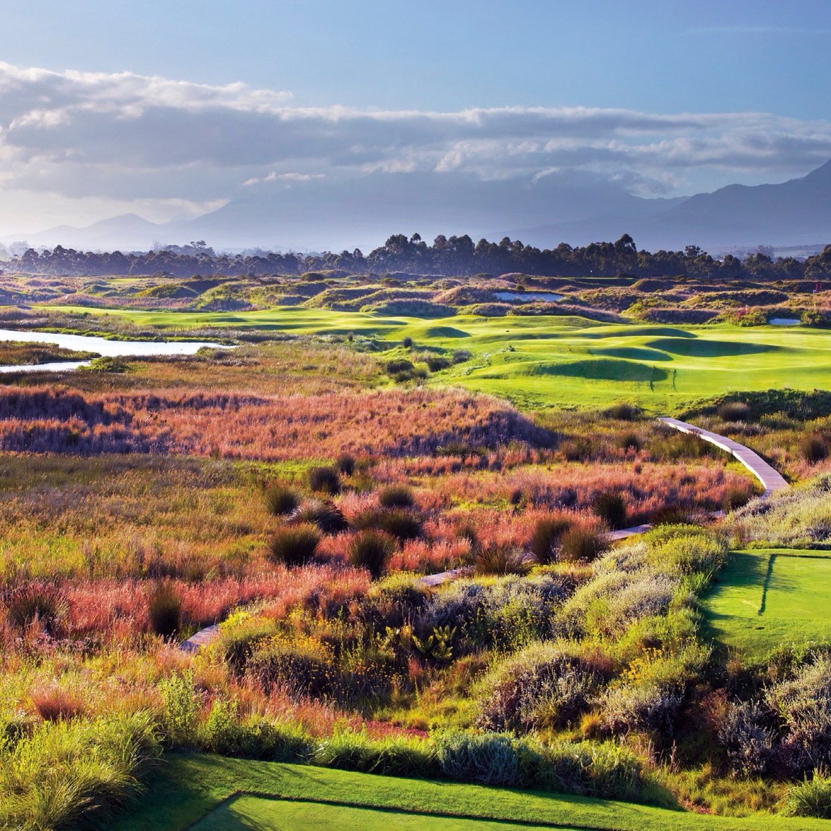 PLAYER DESIGN - “A Gift to Nature” - tweet media