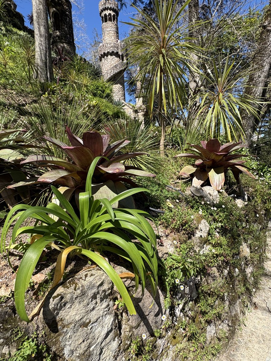 レモンライム tweet media