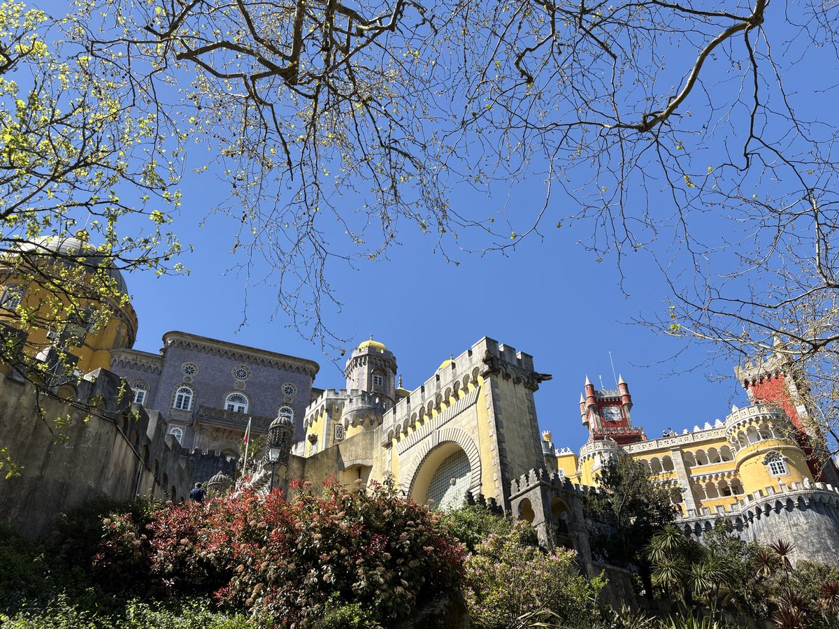 レモンライム tweet media