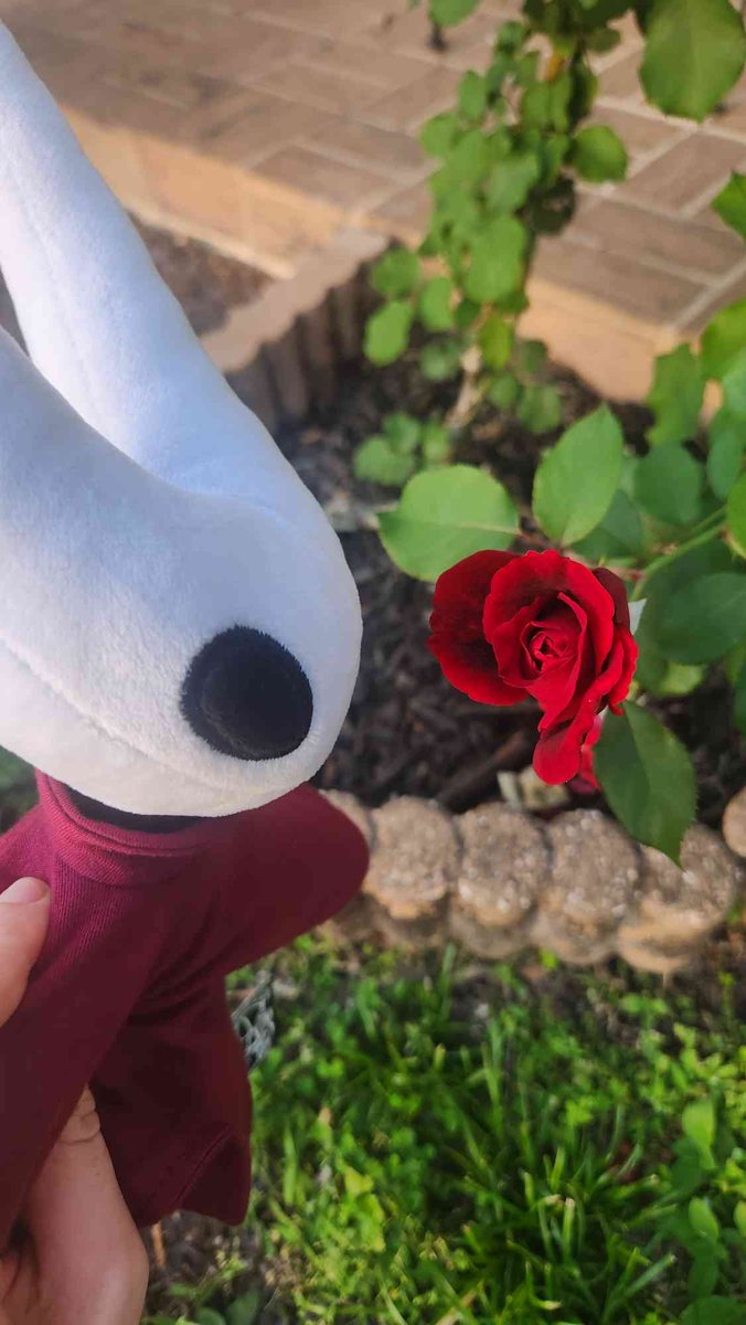 💤Splitz tweet media