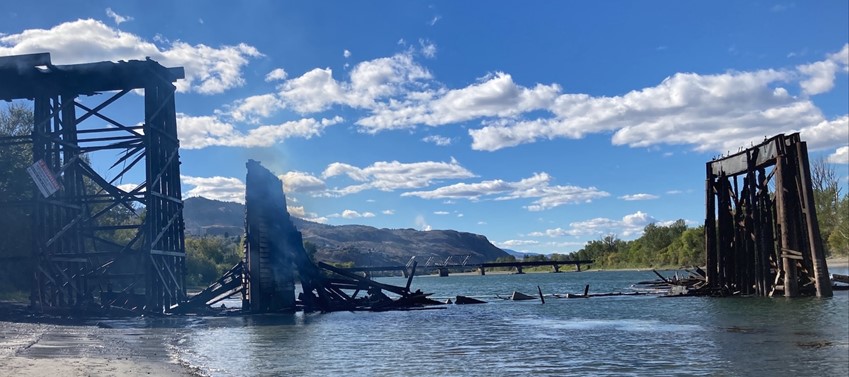 Ward Stamer MLA tweet media