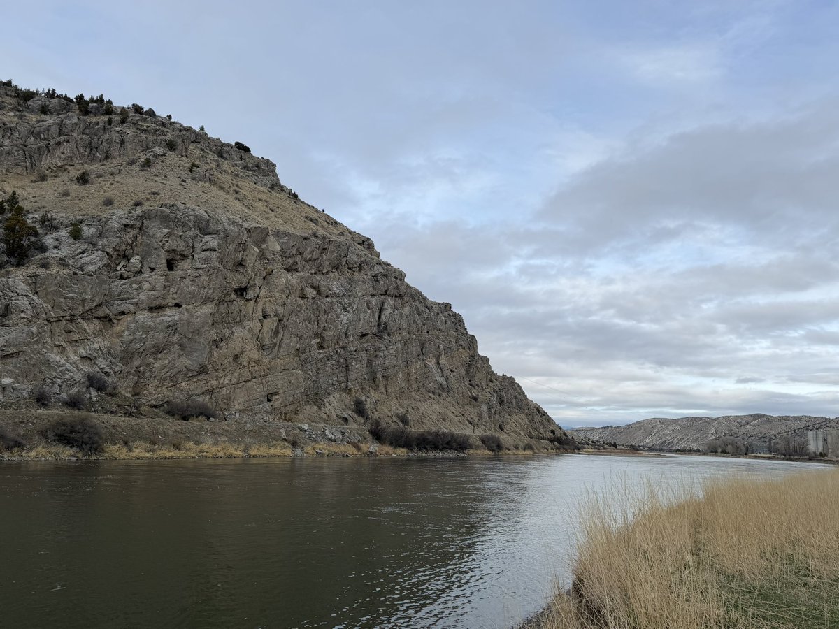 Andrew Guttenberg tweet media