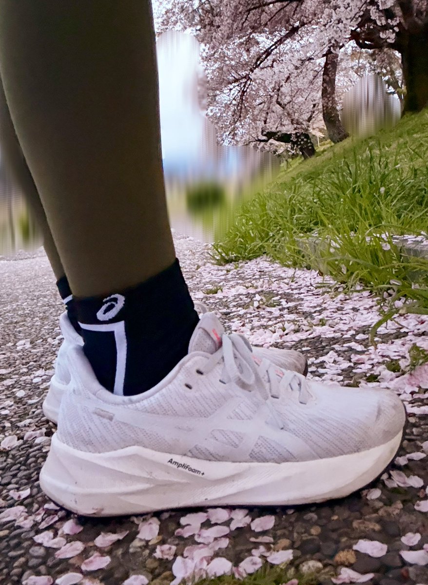 𝗛𝗮𝗿𝘂𝗿𝘂𝗻𝗿𝘂𝗻@パンを愛するダイエッター tweet media