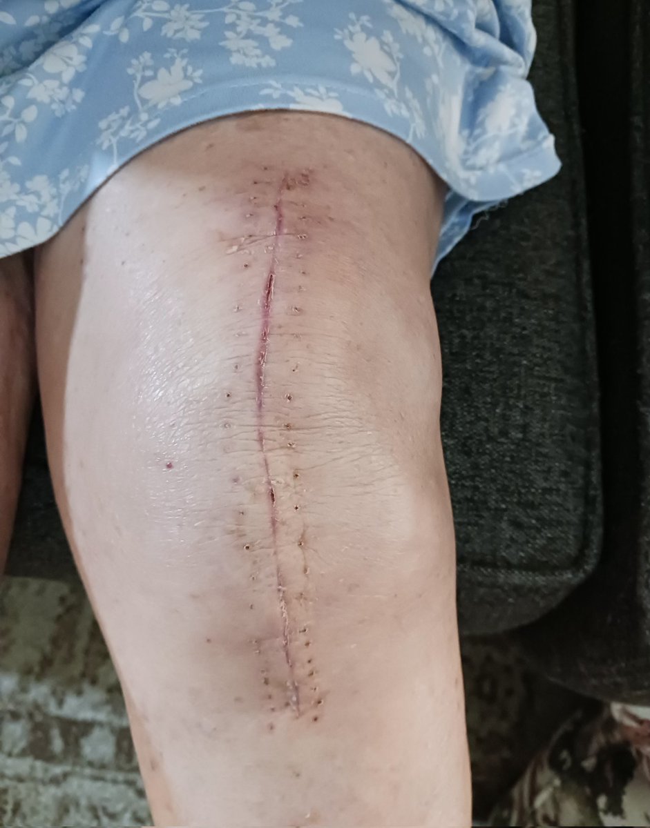 Deborah Bucher tweet media