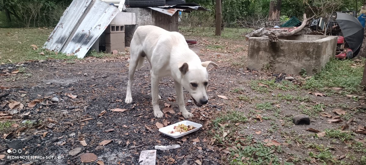 J. E. T. 🦉 😈 tweet media