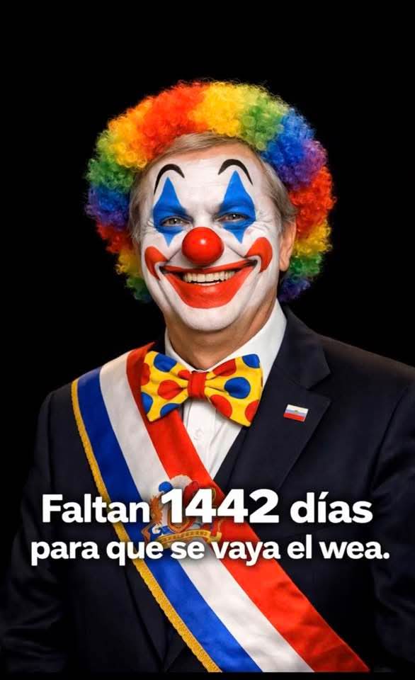 Gigi Alon tweet media