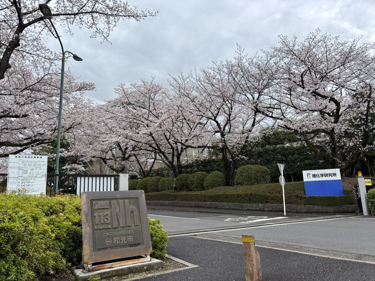 2026/4/1付で、理化学研究所創発物性科学研究センター（CEMS）ユニットリーダーに着任しました。満開の桜に迎えられて初出勤です。研究を楽しみ、良いScience, Chemistryを生み出せるように頑張ります。

The first day at RIKEN with fully blooming cherry blossoms🌸