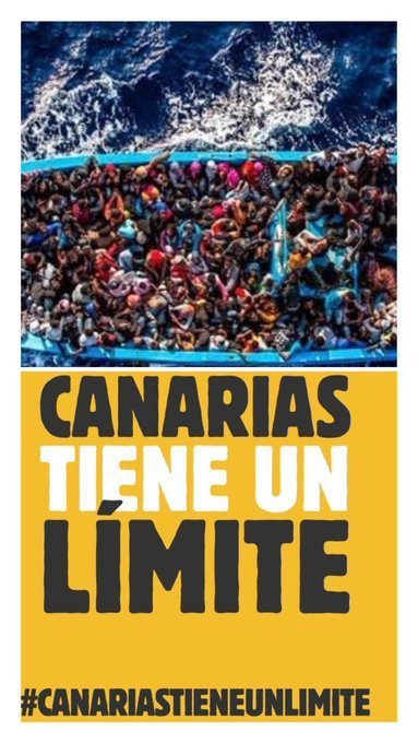 Pinzón Azul 👓 🏊‍♂️🎻 tweet media