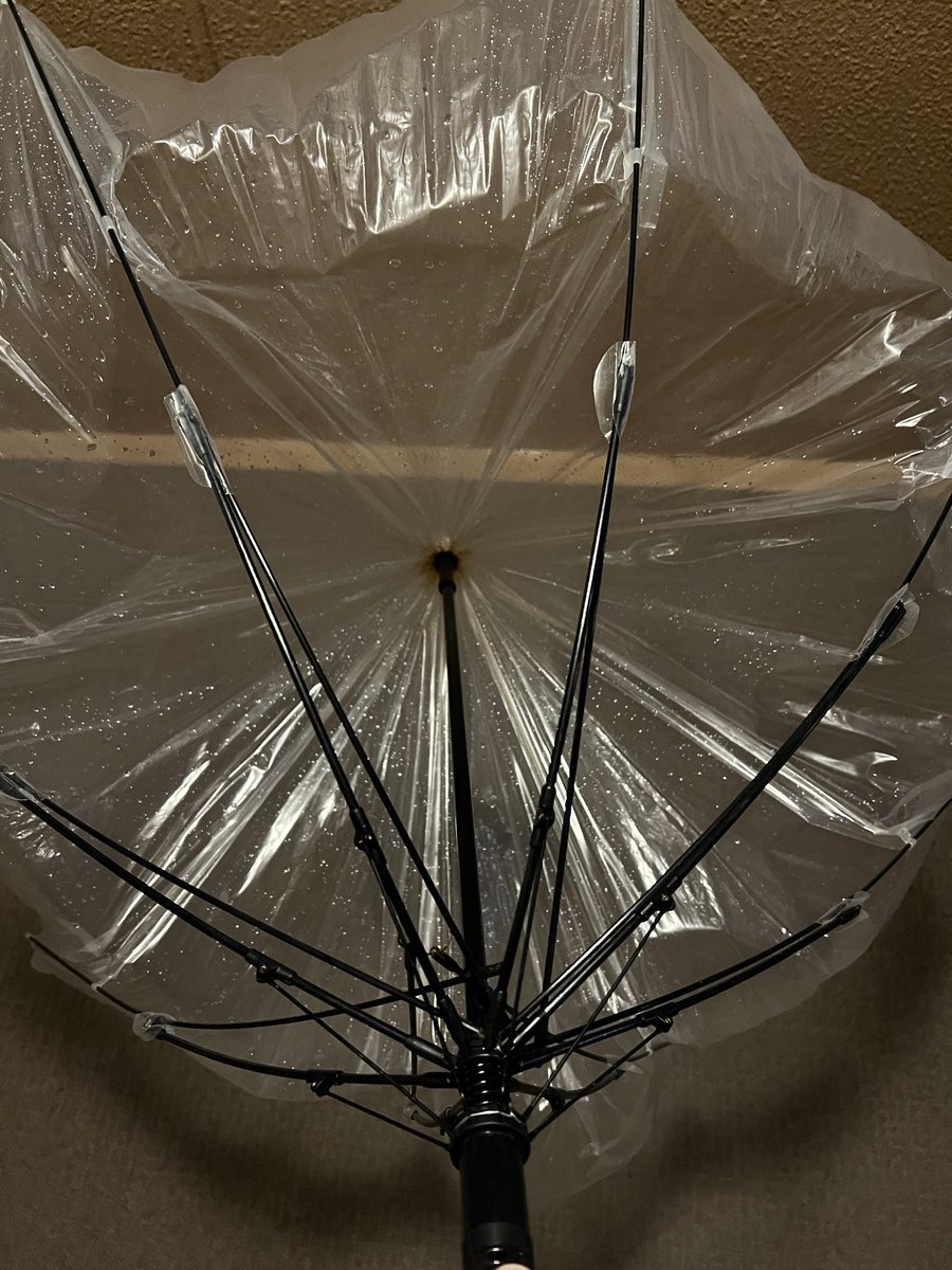 HARRISON tweet media