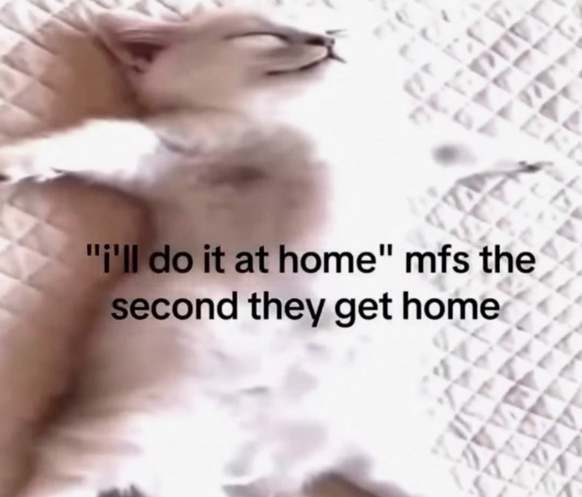 LiterallyMeDogs tweet media