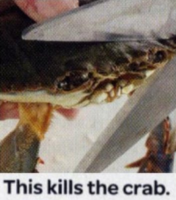 Pokémon Aaah! The Tweeting Account tweet media