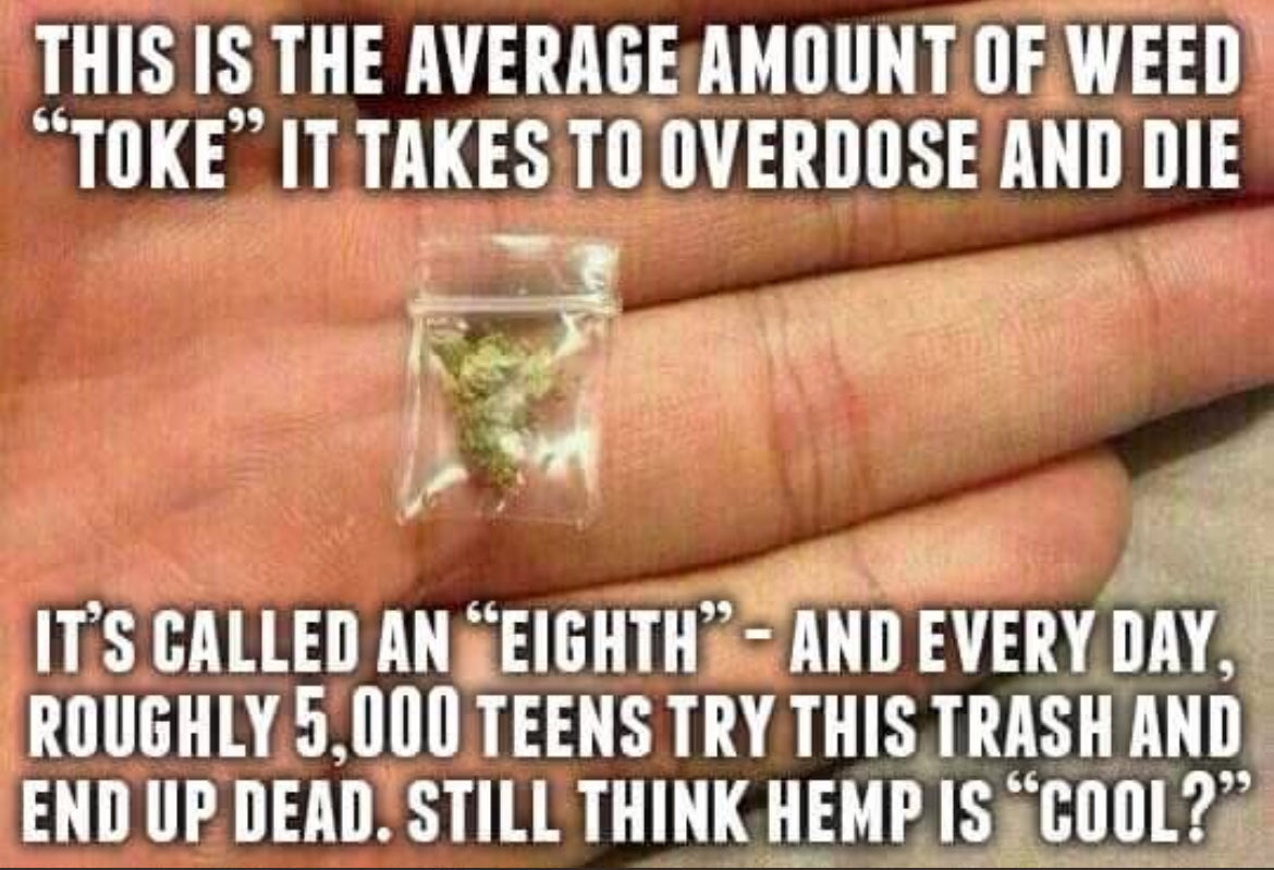rogueherbalism's tweet photo. Are people still buying this Reefer Madness 1950’s failed social programming BS?  Show me the proof!  (Hint: not gonna find any...).  

We have plenty of research supported evidence that cannabis is safe and effective medicine, and life saving, with no deaths EVER despite 10,000+ years of worldwide historical use).  #rantover #cantfixignorance

Receipts:  https://t.co/zfBYpgiA0E