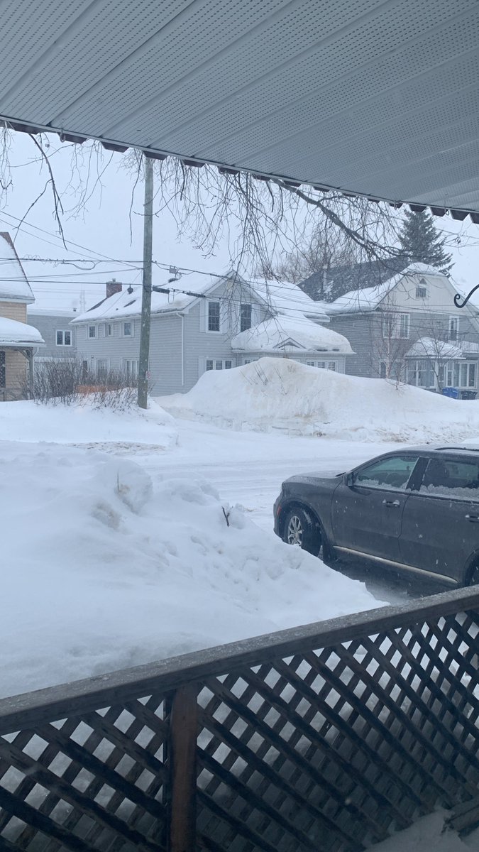 SimonSays tweet media