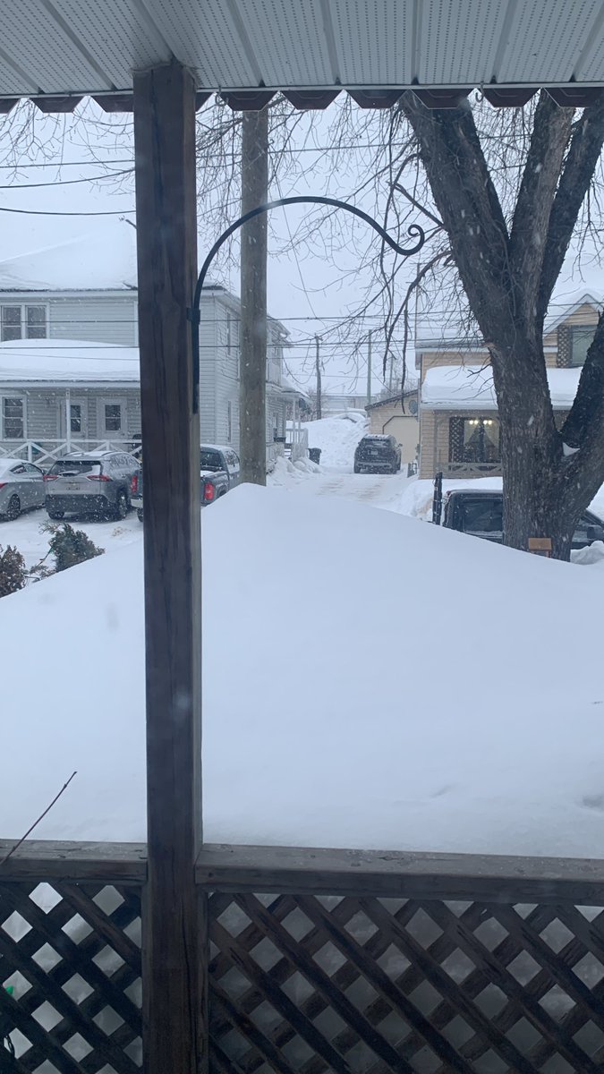 SimonSays tweet media