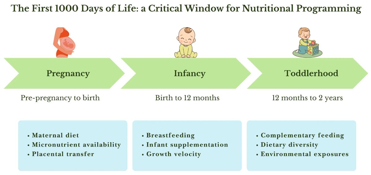 NewsMedical's tweet image. Vitamin D's role in the first 1,000 days goes beyond bones - it may shape immunity, metabolism, and more 🍼🌞 news-medical.net/news/20260331/… #VitaminD #Health @Nutrients_MDPI