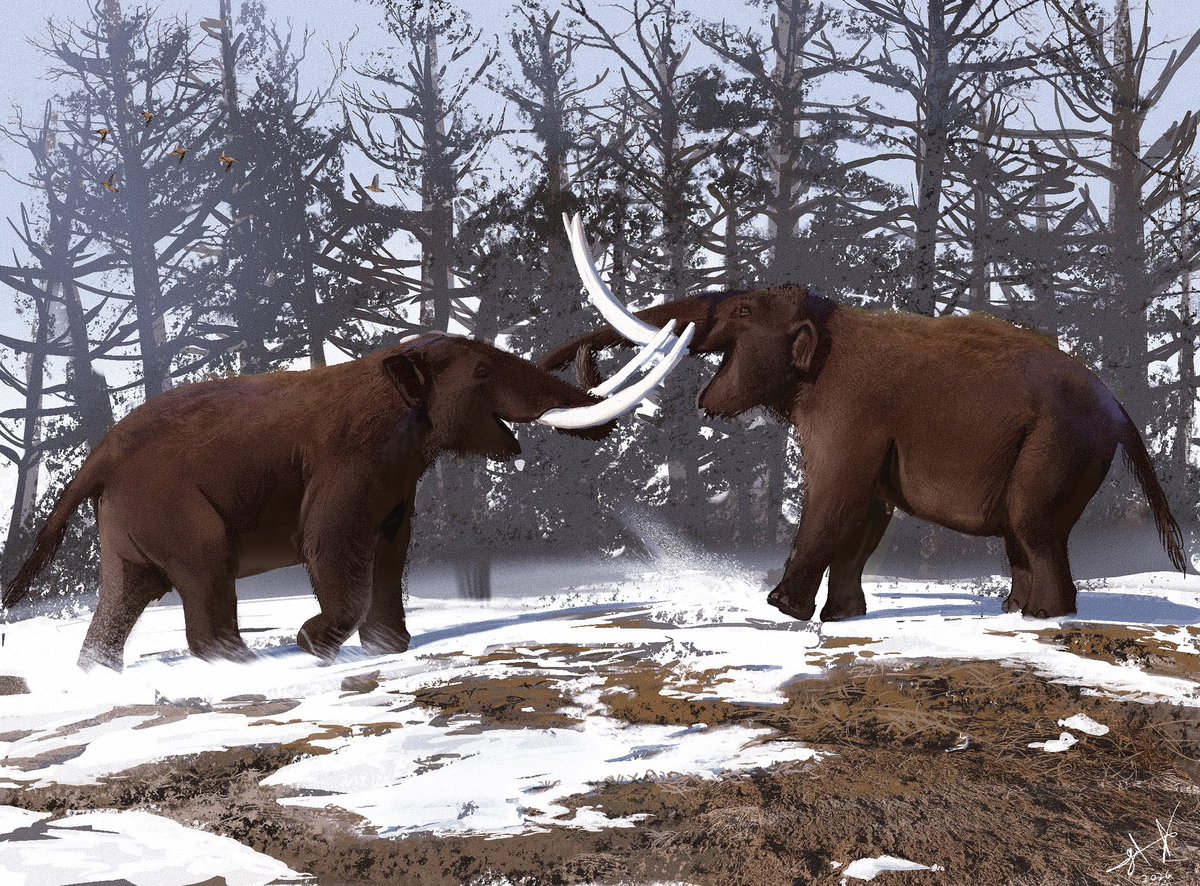 Gael casas tweet media