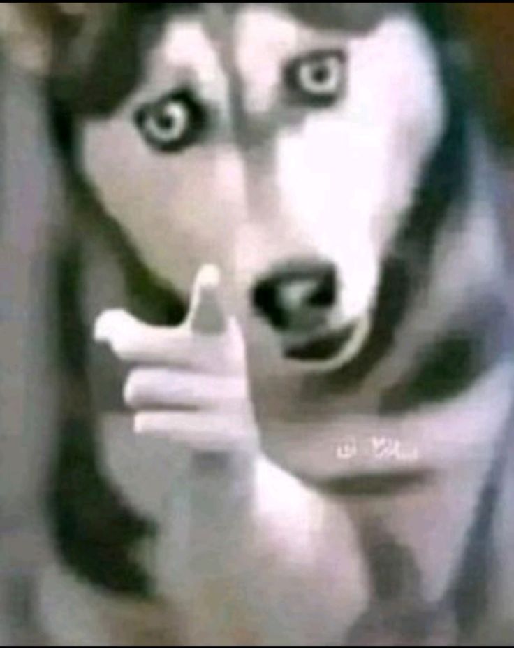 Daily dot... tweet media