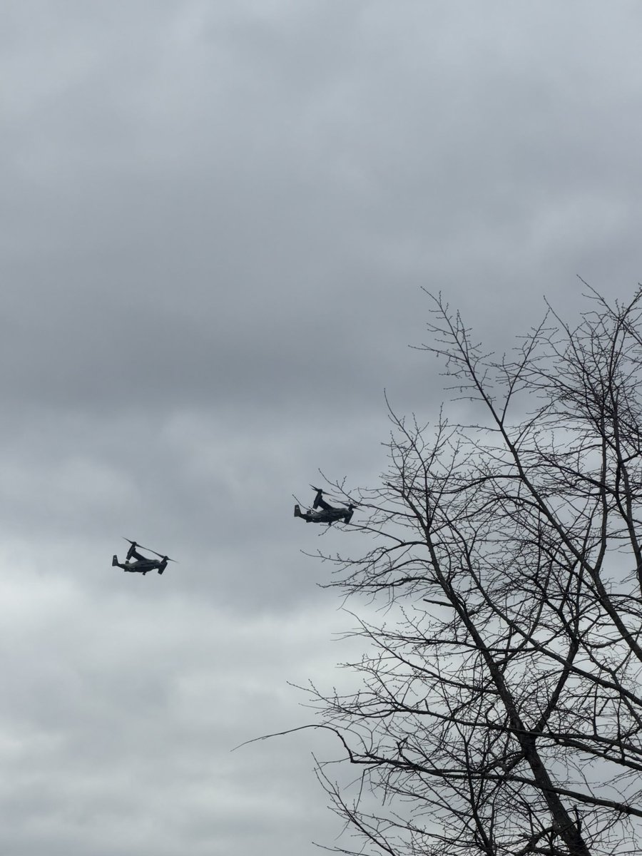 marybartkowski1's tweet photo. @adamlongoTV Some warthogs - very cool! https://t.co/TievNGXJjc