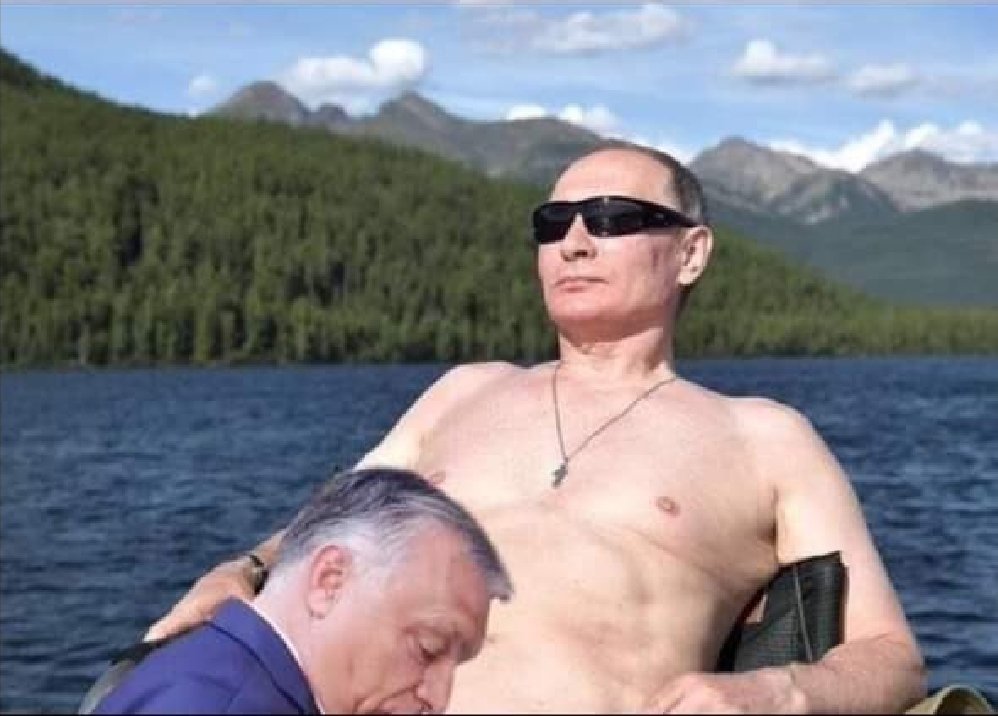 einPirol tweet media