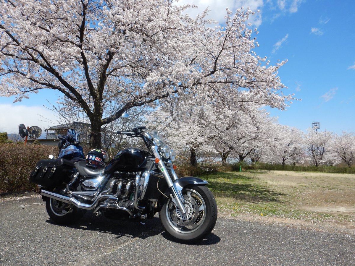 kanegonmugisyu's tweet photo. #バイク乗りとして軽く自己紹介 
4月になったので更新♪
性別：オッサン
住み：東京
車種：Rocket3・SilverwingGT600・F700GS
好き：春は桜と雪の回廊、動画編集、グルメ
一言：チャンネル登録お願いします！
https://t.co/hqueajHGpm
#バイク乗りと繋がりたい https://t.co/cwyj9urp4M