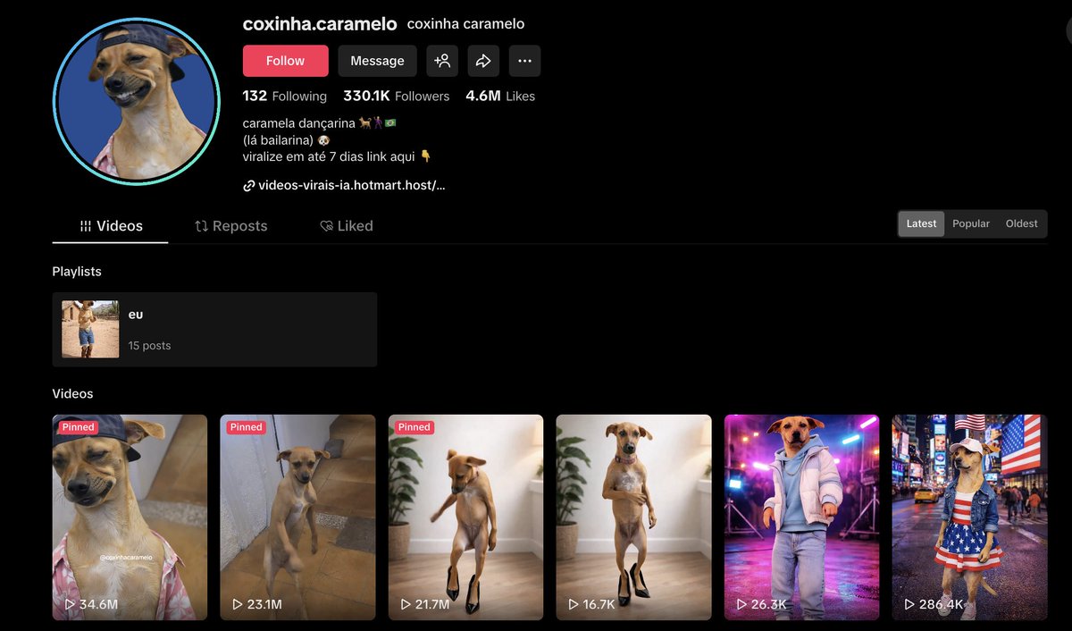 Binary Cat tweet media