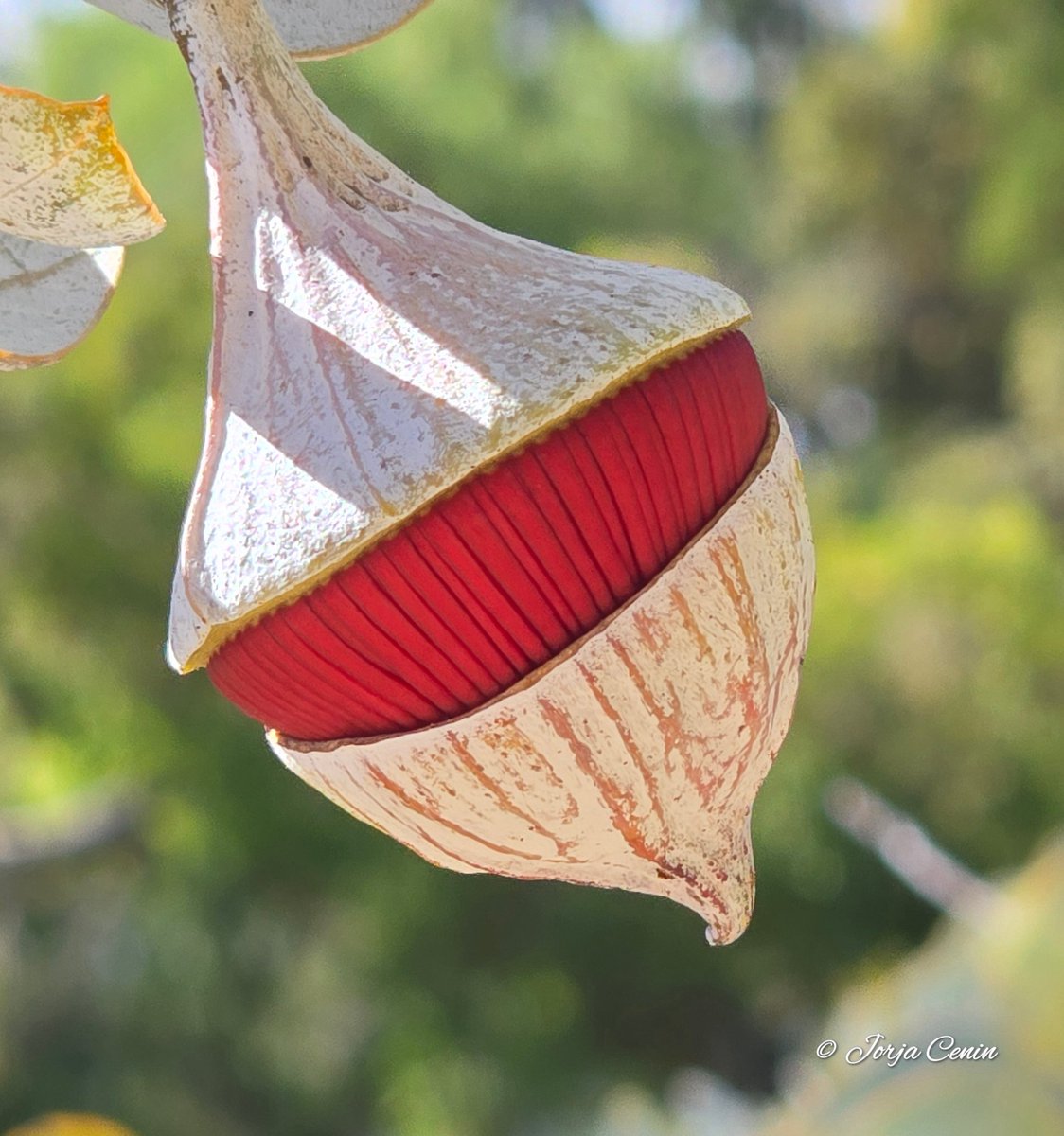 Into Nature Photography with Jorja tweet media