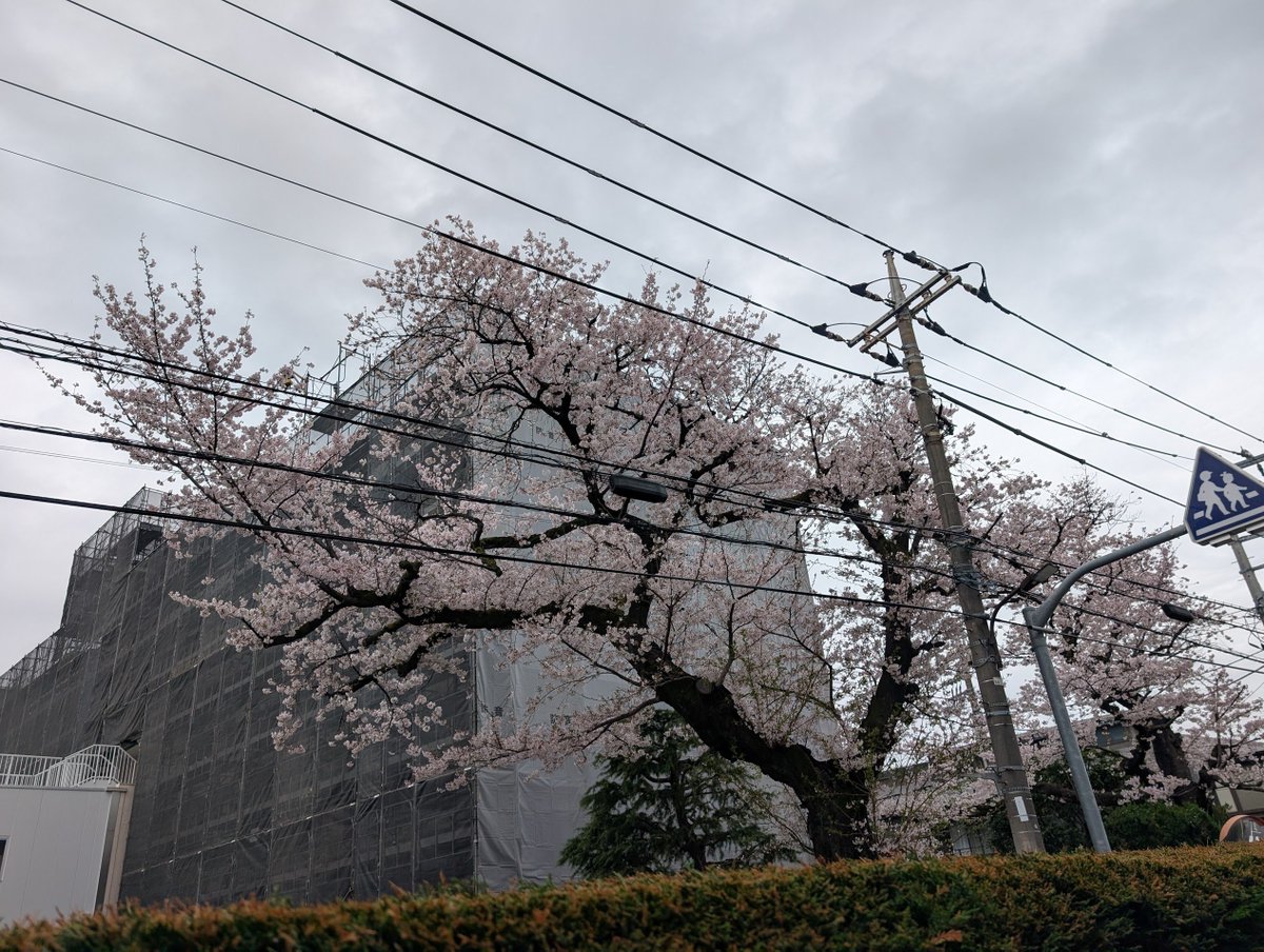 植村直人｜鉄道信号 × 技術支援コンサルタント＠株式会社ウエプロジェクト tweet media
