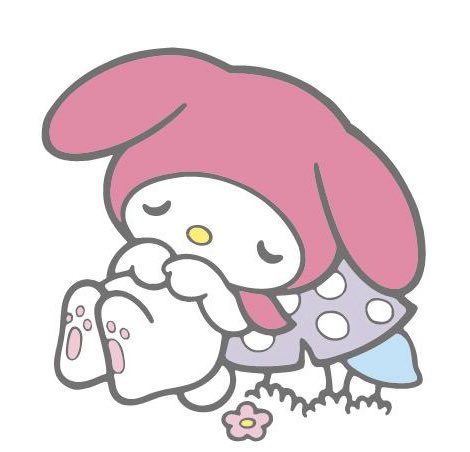 장하오 시나모롤 tweet media