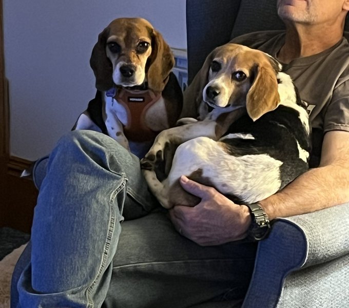 Cookie Roof 🍪 tweet media