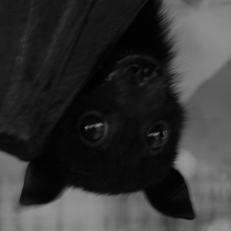 dropping by to say hello