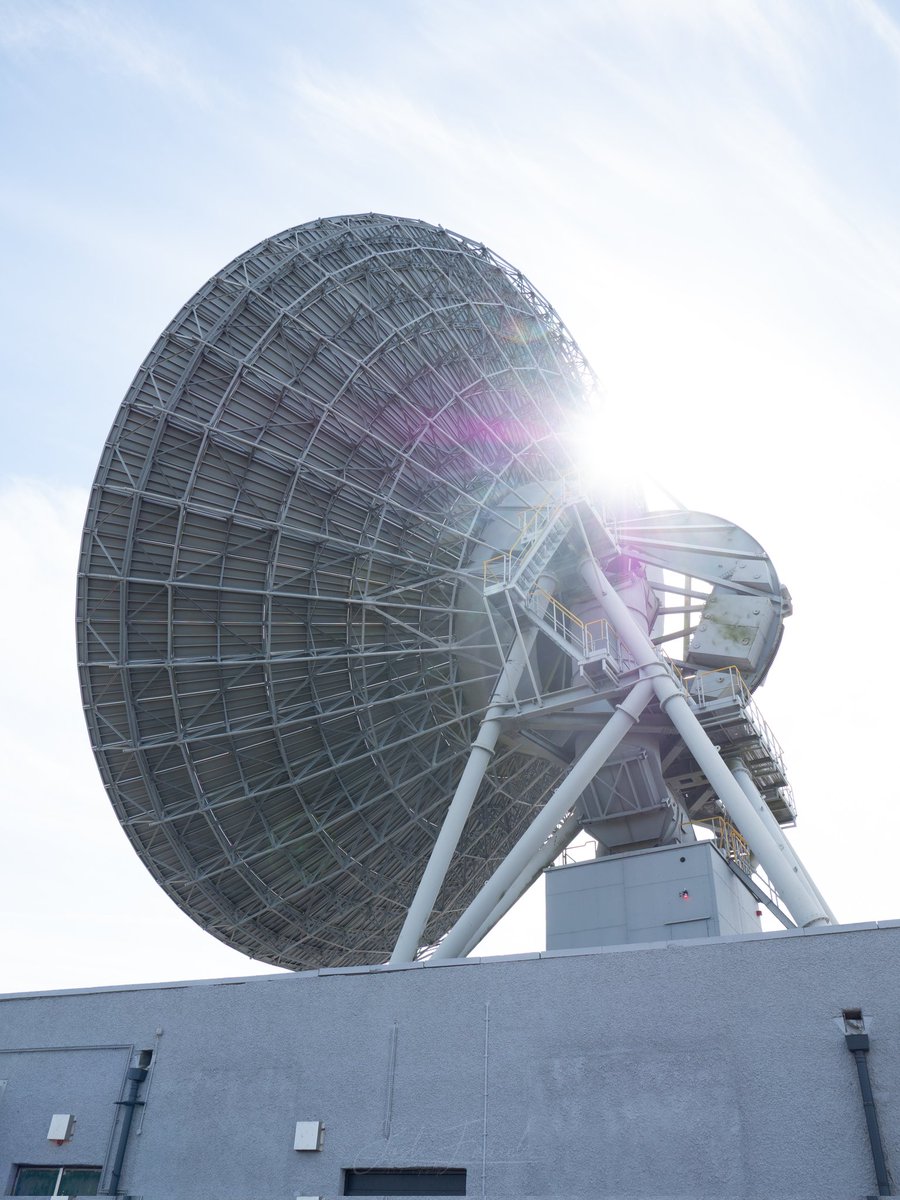 Josh French tweet media