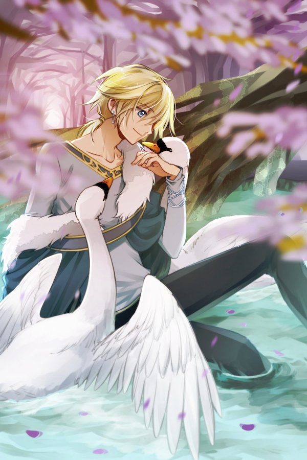 あかつき tweet media