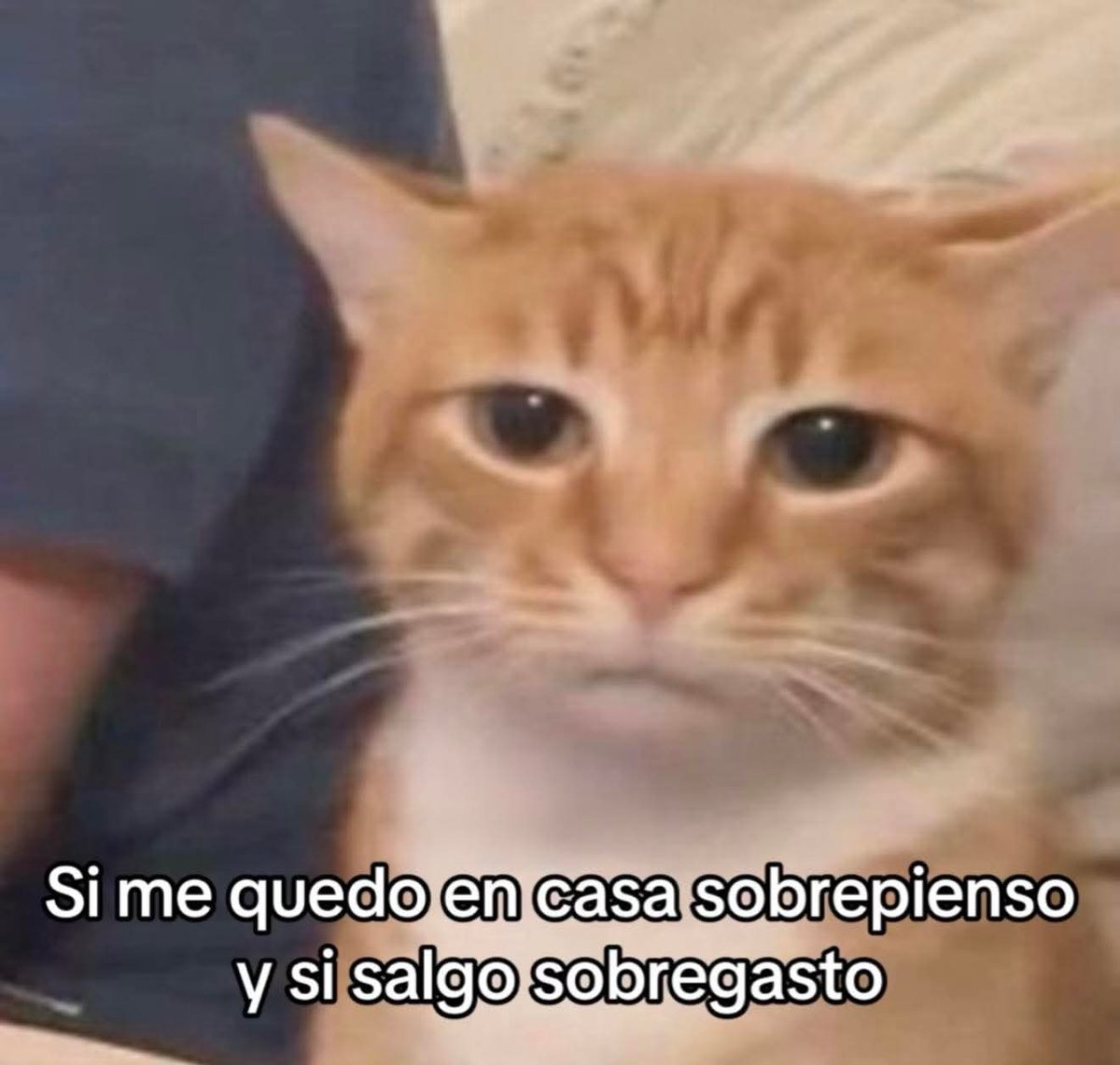 bauldefrases (@suspirxsalaire) on Twitter photo 