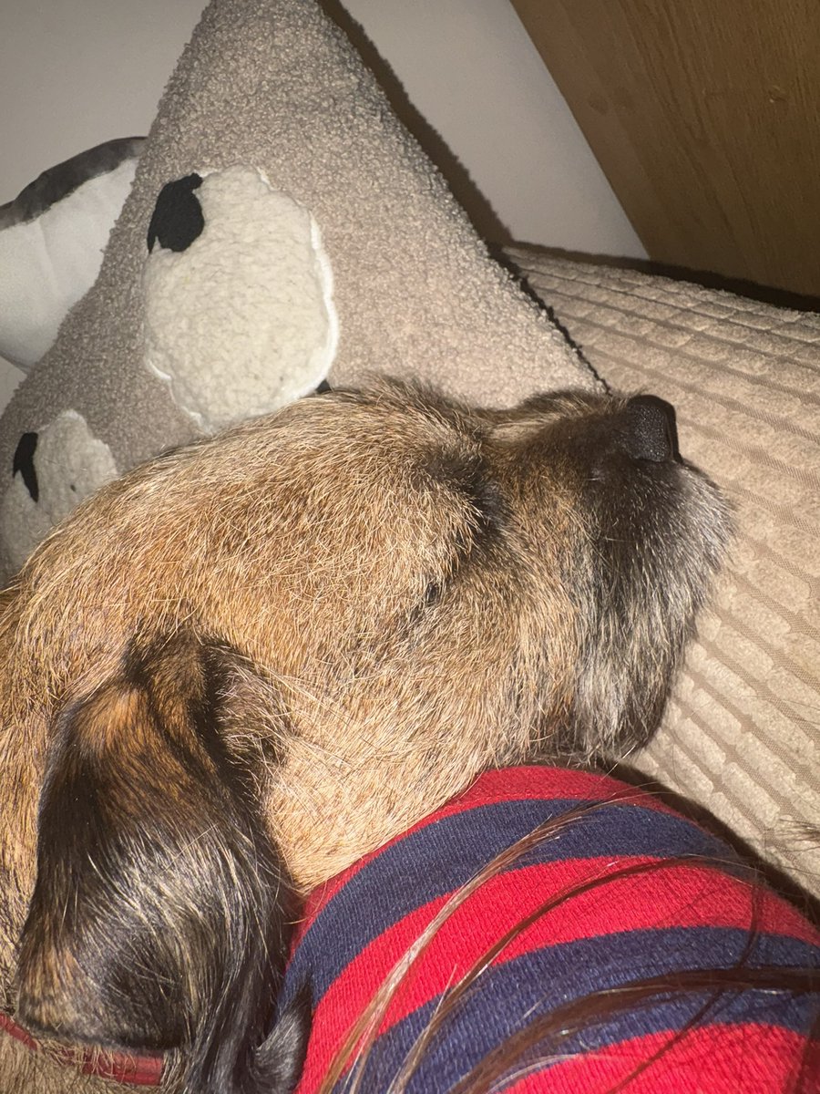 ↫ 𝐃𝐑 𝐒𝐓𝐄𝐕𝐈𝐄 𝐍𝐀𝐒𝐇 .ᐟ tweet media