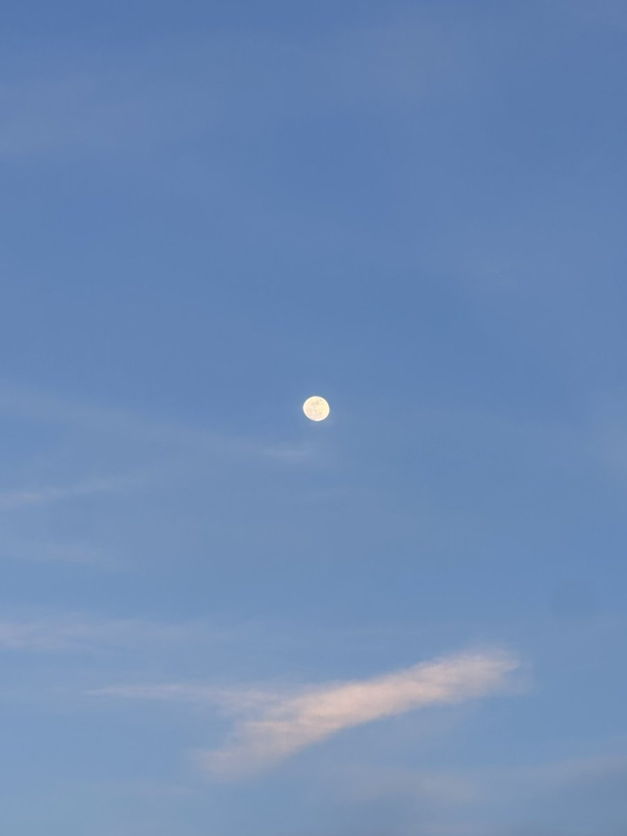 o-n🌛🍓 tweet media