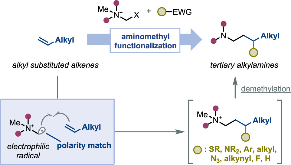 Murakami Lab tweet media