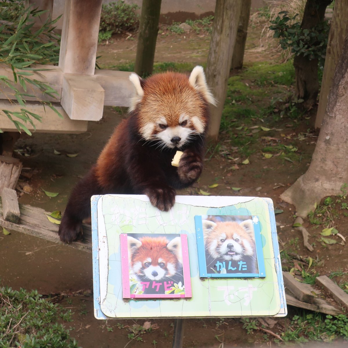 ひろみん tweet media