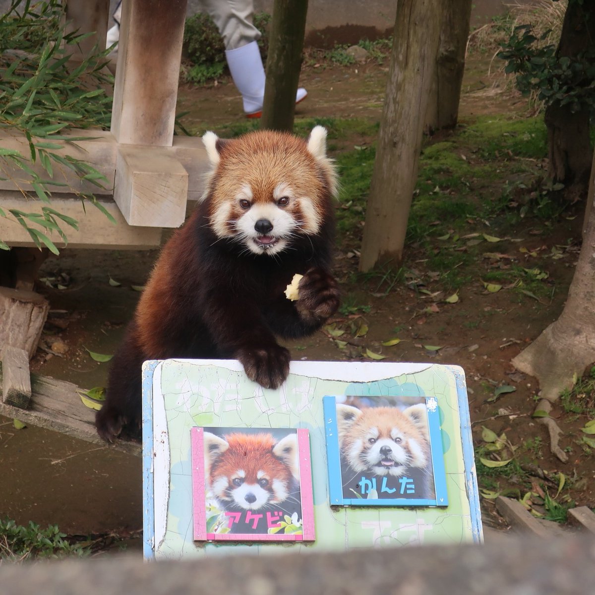 ひろみん tweet media