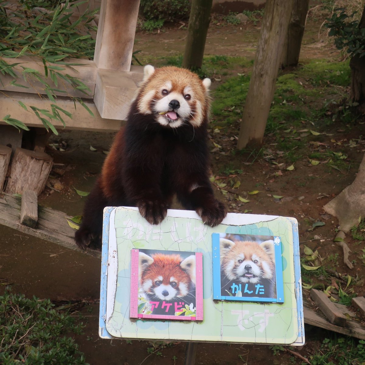 ひろみん tweet media